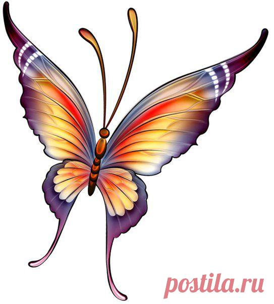 Картинки для творчества | 1 772 фотографии | ВКонтакте