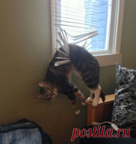 18 снимков, которые противоречат всякой логике