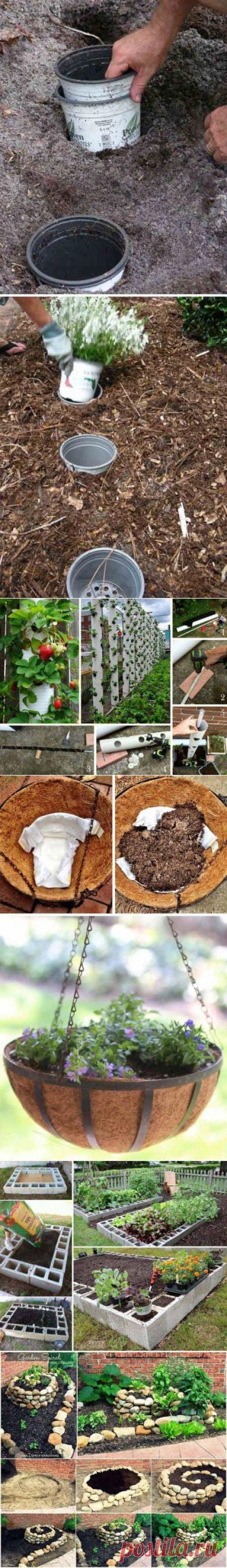 Дешевые и эффективные способы обустроить участок — Мой дом