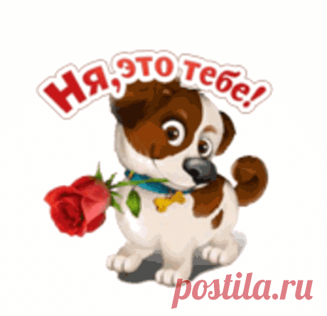 Google+