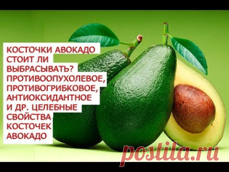 Косточки авокадо стоит ли выбрасывать противоопухолевое противогрибковое  антиоксидантное и другие ц