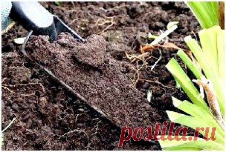 Как обновить почву в ?