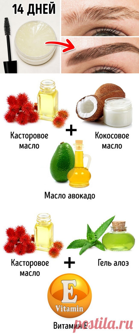 10 простых способов быстро отрастить красивые брови