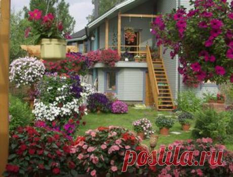 Чтобы петуния росла
"шариком".ЗДЕСЬ:Подвесные клумбы(посадка,уход)--- https://aliriolf.uol.ua/text/8633772/#cut