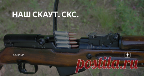 НАШ СКАУТ. СКС. В прошлой статье мы примерили роль винтовки скаут на АК, в этой рассмотрим СКС. АК хорош, но по настоящему лучший вариант на место винтовки Скаут в России это СКС. Карабин разработанный в конце великой войны. Разработанный еще как карабин, а не как штурмовая винтовка. Карабин в котором сам вид сразу заявляет «я винтовка а не автомат», что положительно сказывается на его имидже для охотников. Если