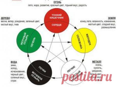 Биоритм, что такое биоритмы | vita-jizn.net
Биоритм, что такое биоритмы
Биоритм нашего организма подчиняется суточным и сезонным колебаниям активности. Периоды активности энергетических меридианов Ци обуславливает суточный биоритм...