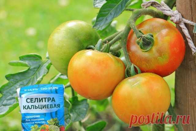 Зачем нужна кальциевая селитра?