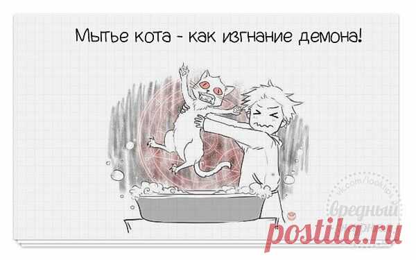 Весёлые открытки для хорошего настроения