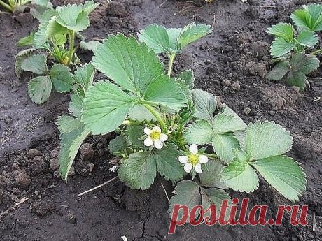 3 непрочитанных чата