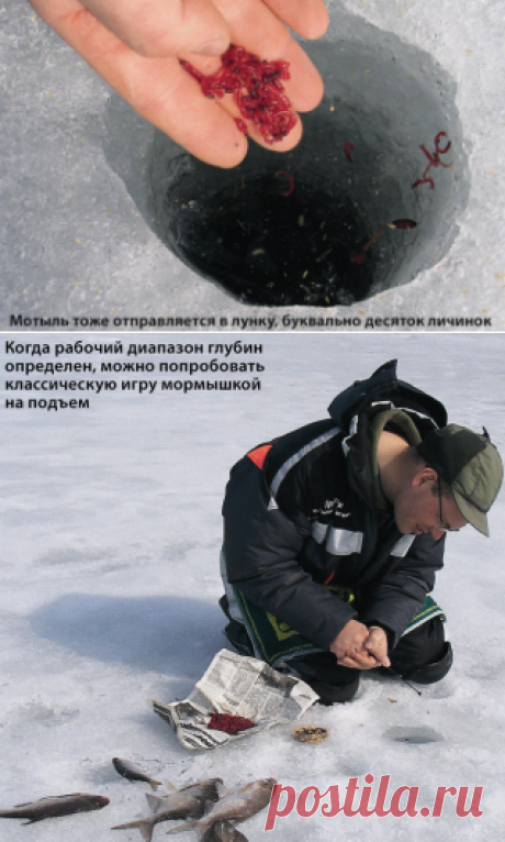 Там, где не ждали, или как найти рыбу подо льдом