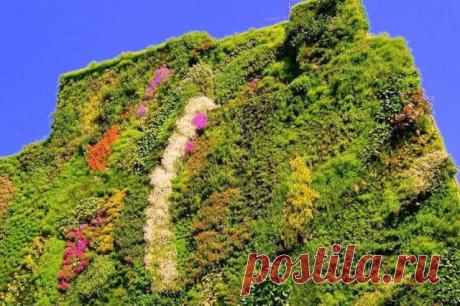 Вертикальные сады французского дизайнера Патрика Бланка|GreenEvolution.ru