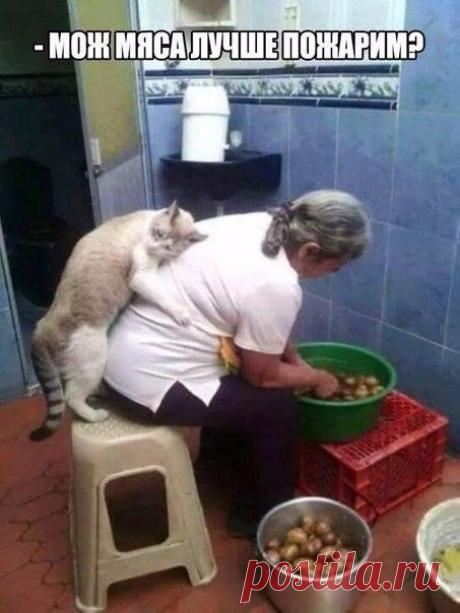 Смешные картинки для отличного настроения!