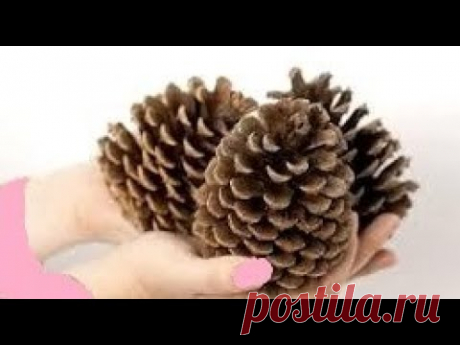 ВЗЯЛА лишь ШИШКИ СОСНОВЫЕ! Вы будете в Восторге от этих поделок! Каждый сможет! DIY!