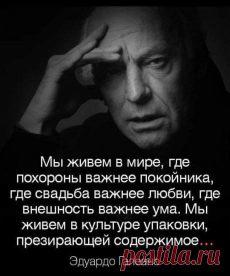 12835df649e2b87095e9ee114c594ed8.jpg (795×954)