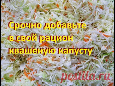 Срочно добавьте в свой рацион квашеную капусту