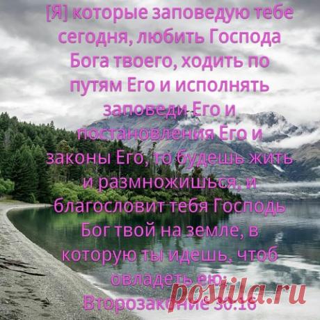 (16) Одноклассники
