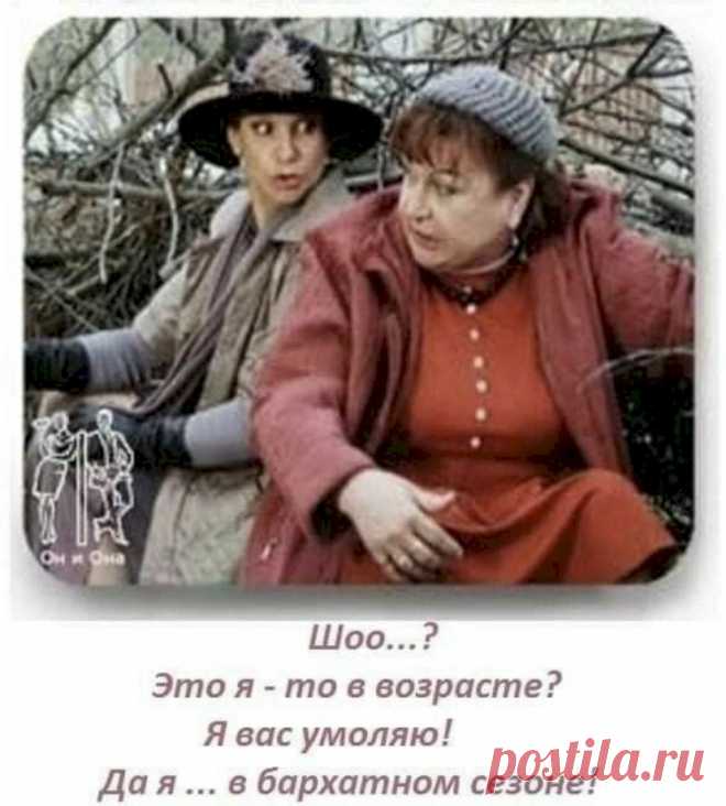 Выпуск №6529 - выпуск анекдотов сайта вокруг смеха