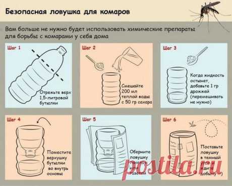 Народные методы отпугивания комаров. Ловушка для комаров своими руками - мастер-класс