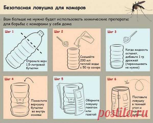 Народные методы отпугивания комаров. Ловушка для комаров своими руками - мастер-класс