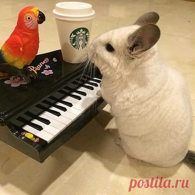 .