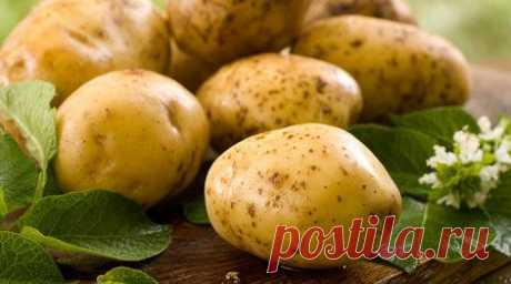 Лечебные свойства картофеля и картофельная косметика | Разно Всяко