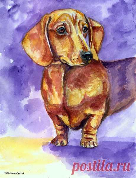 Doxie - Dachshund Dog by Lyn Cook Doxie - Dachshund Dog Painting by Lyn Cook