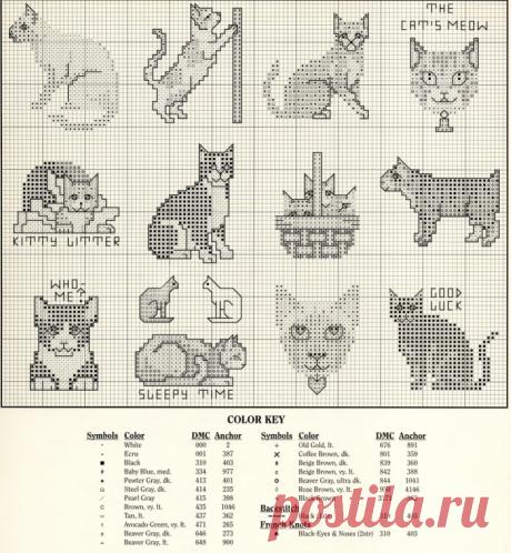 (1) Gallery.ru / Zdjęcie nr 1 - 404 35 Koty - mtecuka