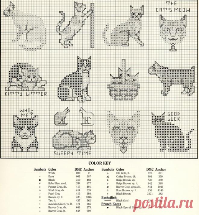 (1) Gallery.ru / Zdjęcie nr 1 - 404 35 Koty - mtecuka