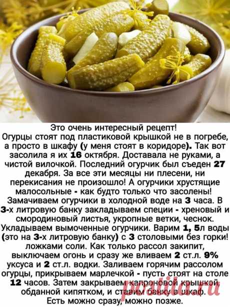 ОГУРЕЦ