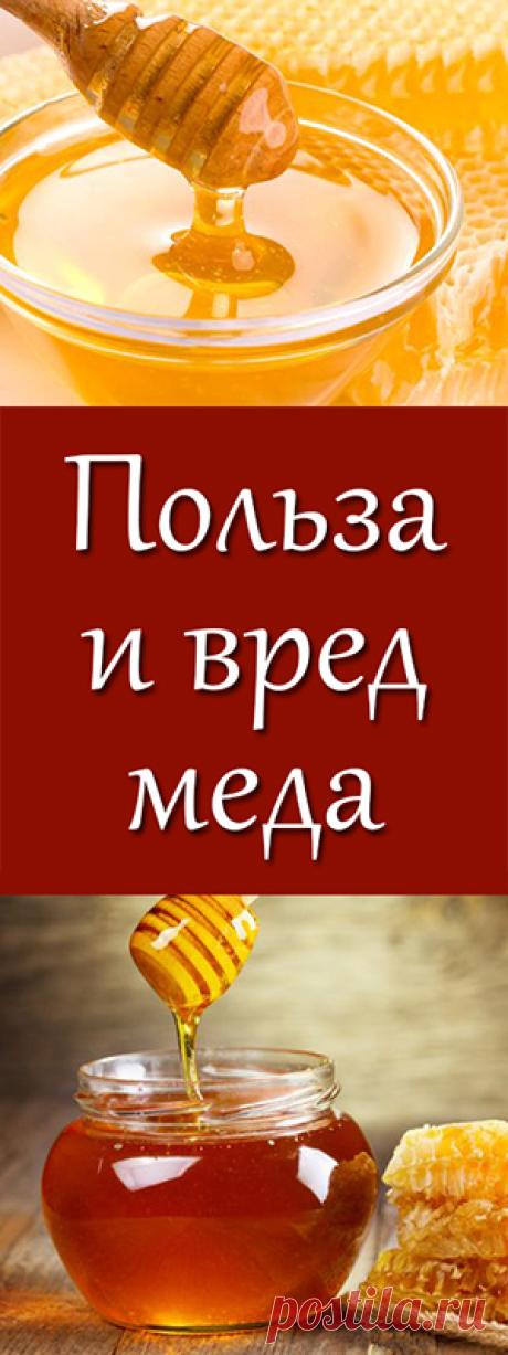 Правда ли, что мед не так полезен, как о нем говорят? Противопоказания, вред и полезные свойства меда