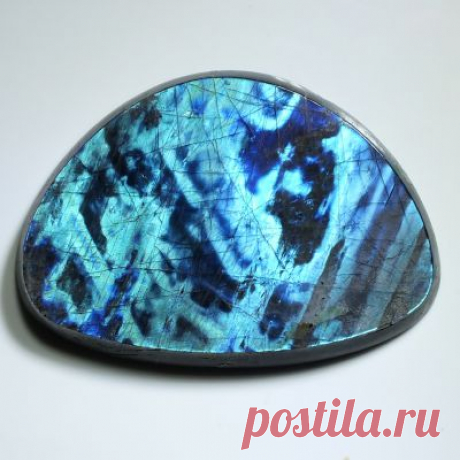 Лабрадор