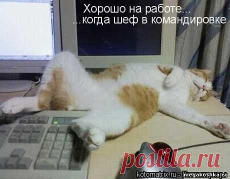 )))