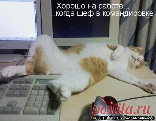 )))