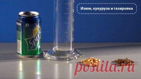 Опыты для детей. Танцы изюма и кукурузы / Детские опыты. Развитие логического мышления, логики и моторики у детей / Ёжка - стихи, загадки, творчество и уроки рисования для детей