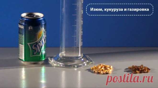 Опыты для детей. Танцы изюма и кукурузы / Детские опыты. Развитие логического мышления, логики и моторики у детей / Ёжка - стихи, загадки, творчество и уроки рисования для детей