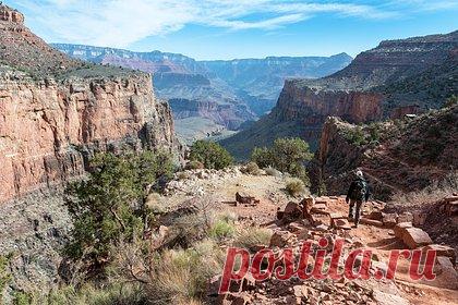 Россиянин побывал в США и описал страну фразой «безопасность, комфорт и контроль»