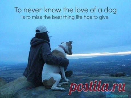 M.J. Rose - Timeline Photos