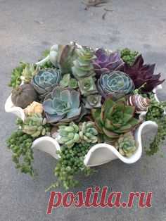 Pinterest