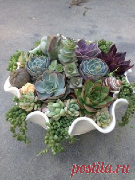 Pinterest