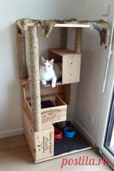 15 поделок для домашних любимцев, которые можно легко сделать самому - Сделай сам - медиаплатформа МирТесен