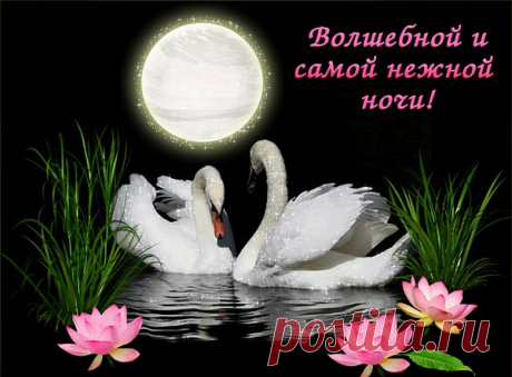 Спокойной ночи , друзья, до новых встреч!!!!
Луны серебристый клубочек,
Скатился за угол окошка,
Оставив на краешке ночи,
Светящейся нити дорожку.
И бархат небес вышивая,
Созвездий узором блестящим,
Волшебница - ночь, оживая,над миром склоняется спящим.
Рассыпала сны по подушке,скользнула невидимой тенью,
И мне прошептала на ушко:&quot;Счастливых тебе сновидений!