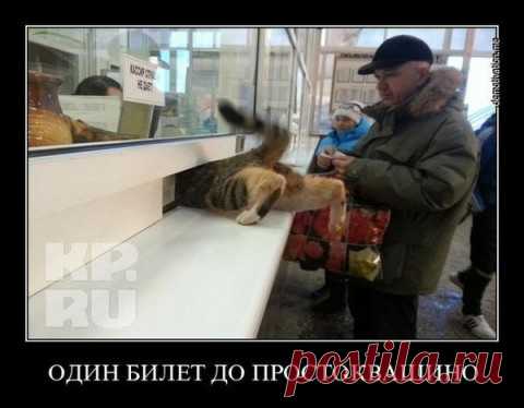 ...меня там Тузик заждался...