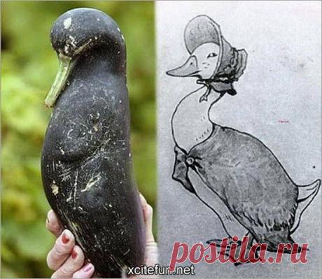 Найдено на сайте forum.xcitefun.net.