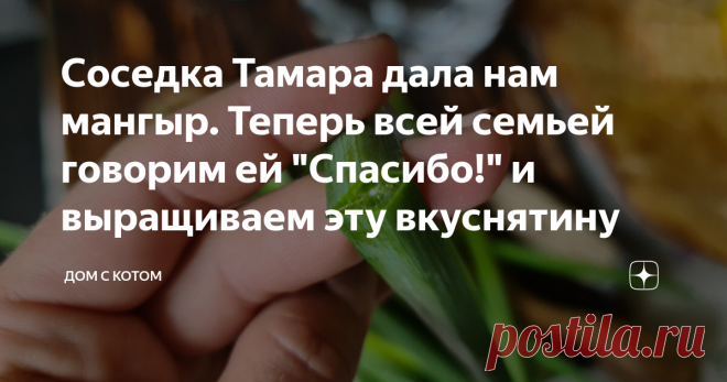 Соседка Тамара дала нам мангыр. Теперь всей семьей говорим ей 