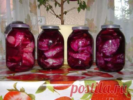 Рецепт острой капусты по-армянски — это настоящий клад! Вкуснотища необыкновенная! Ингредиенты: Капуста — 5кг Свекла — 0,5кг Перец острый — 1шт Корень хрена — 1 Для рассола на 1,2 л. Соль — 1ст.л. Лаврушка — 1шт Черный перец горошком — 5шт Приготовление: Качан капусты разрезать на 6-8 частей. Свеклу почистить, нарезать тонкими кружками. Острый перец помыть. Корень хрена почистить. Нарезать крупными кусками. Приготовить рассол: воду …