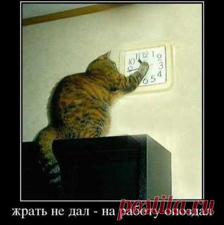 Мой Мир@Mail.Ru