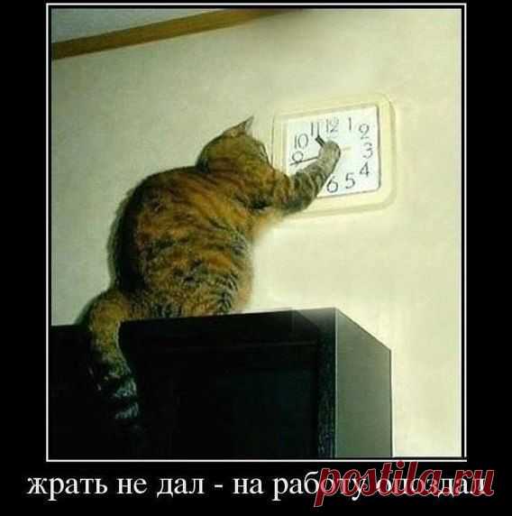 Мой Мир@Mail.Ru