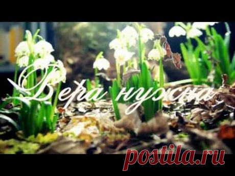 Вера нужна