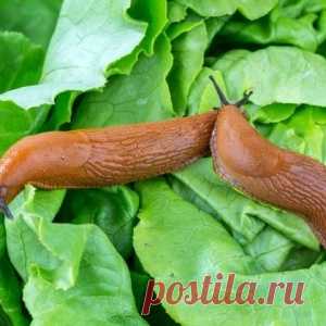 - Не надо смотреть на меня женатыми глазами... Улыбнемся)))