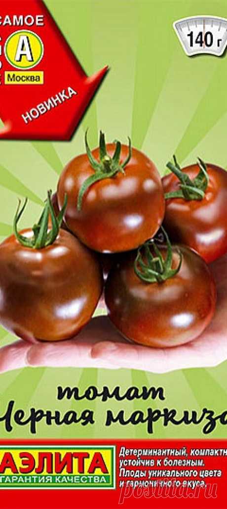 Томат Черная маркиза, 0,1 г Новый среднеранний сорт с деликатесным вкусом и неповторимым цветом плодов. От всходов до начала сбора 110-115 дней. Подходит для открытого грунта и п...